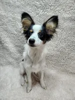 processed/a4c7719a-8c1c-40f6-a437-e244a32b941a/listing/ba8c8c0a-6bac-4571-8598-06f5ca184be3/7cbba38d-804c-4a24-acae-52c759515ade