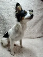 processed/a4c7719a-8c1c-40f6-a437-e244a32b941a/listing/ba8c8c0a-6bac-4571-8598-06f5ca184be3/85755884-9009-4218-adf7-4f74ea0fd989