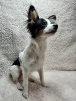 processed/a4c7719a-8c1c-40f6-a437-e244a32b941a/listing/ba8c8c0a-6bac-4571-8598-06f5ca184be3/c27c573e-bdbb-469d-8478-2371a266812e