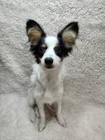 processed/a4c7719a-8c1c-40f6-a437-e244a32b941a/listing/ba8c8c0a-6bac-4571-8598-06f5ca184be3/d8f9f492-1c77-41e4-989e-96eb8fb3a023