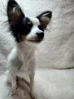 processed/a4c7719a-8c1c-40f6-a437-e244a32b941a/listing/ba8c8c0a-6bac-4571-8598-06f5ca184be3/f6f13d11-504a-4f6e-80c4-0fbfd27db8bd