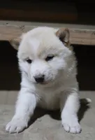 processed/a4d17a25-1043-4470-b6cf-1db5c66ae2d3/listing/28a94d9f-7ecc-4792-97bc-15aeecbf3577/aad5f3ed-40ca-4296-8468-b6cb5e2e0796