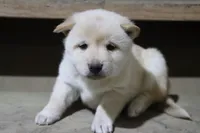 processed/a4d17a25-1043-4470-b6cf-1db5c66ae2d3/listing/583c6f65-d7a7-44b0-b02b-242fb4201d82/9578c395-6f8c-4f7d-bb18-8eee857ee1d8