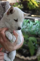 processed/a4d17a25-1043-4470-b6cf-1db5c66ae2d3/listing/6ca34d57-068f-4049-8e24-f2d2a4b775b4/059f300d-15ed-4cd6-86af-8d1b620341f5