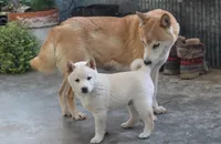 processed/a4d17a25-1043-4470-b6cf-1db5c66ae2d3/listing/6ca34d57-068f-4049-8e24-f2d2a4b775b4/2607dcf6-32f6-44ef-a5e7-d1e0f72d182b