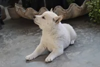 processed/a4d17a25-1043-4470-b6cf-1db5c66ae2d3/listing/6ca34d57-068f-4049-8e24-f2d2a4b775b4/419e952d-a428-48b6-bf27-ba845de02241