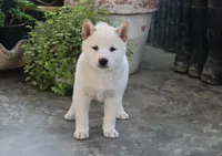 processed/a4d17a25-1043-4470-b6cf-1db5c66ae2d3/listing/6ca34d57-068f-4049-8e24-f2d2a4b775b4/4a67a74d-da40-414d-b5e6-8576766dcd07