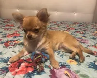 processed/a4d35046-6a59-4e85-b0db-b9903e71d071/facility/24188ef1-32d5-419e-aa29-5d35ab2ee1cc