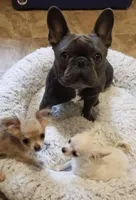 processed/a4d35046-6a59-4e85-b0db-b9903e71d071/facility/4a7234bb-710a-4df4-97c5-6f996aa092bb