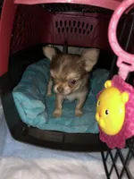 processed/a4d35046-6a59-4e85-b0db-b9903e71d071/facility/5e4a390a-460e-44da-b46f-96025d80b8af