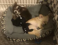 processed/a4d35046-6a59-4e85-b0db-b9903e71d071/facility/a24dd3f4-5dab-4758-bbba-367a96f26e45