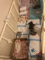 processed/a4d35046-6a59-4e85-b0db-b9903e71d071/facility/b31f8f09-0ab9-4f18-a5b9-7d4b00e5d477