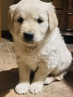 processed/a4e1cd80-7674-4e08-a953-5d1fa34f850c/listing/a4848af8-7c1d-4bd7-be5c-4847f865fd76/05310e6d-de5a-4e62-aca8-7191507bf4d0