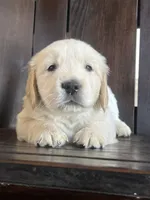 processed/a4e1cd80-7674-4e08-a953-5d1fa34f850c/listing/a4848af8-7c1d-4bd7-be5c-4847f865fd76/ed2fef10-2ce0-447c-a83a-58fa0d5d29e2