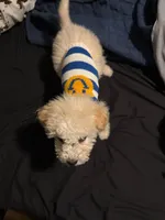 processed/a4ed0283-742d-421a-b887-1753d97b11be/listing/79c9ff38-347b-4a53-a6c9-68446409c2e8/072dd399-6b44-4ec9-a47e-940e179a14cc