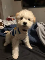 processed/a4ed0283-742d-421a-b887-1753d97b11be/listing/79c9ff38-347b-4a53-a6c9-68446409c2e8/cb2aa2b9-12b3-463c-8a0b-759e9fbd964e