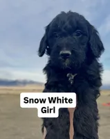 processed/a4f28661-a839-42b3-82ef-ce24cdd0f4b9/facility/43d03868-2ce1-4fb0-b04c-d5d68571e25e