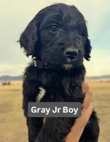 processed/a4f28661-a839-42b3-82ef-ce24cdd0f4b9/facility/5666c870-18d4-4fe8-9562-069ca876bcca