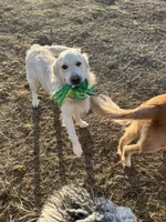 processed/a4f28661-a839-42b3-82ef-ce24cdd0f4b9/facility/56916265-e886-4adb-be61-887c835366d3