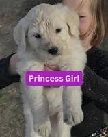 processed/a4f28661-a839-42b3-82ef-ce24cdd0f4b9/facility/58c66889-7713-4dba-bdfe-049e989c6f92