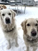 processed/a4f28661-a839-42b3-82ef-ce24cdd0f4b9/facility/74390c50-7c37-4768-9638-6d2547d33251