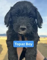 processed/a4f28661-a839-42b3-82ef-ce24cdd0f4b9/facility/7920682f-8098-40dc-8ef4-97b5e1c9edd5