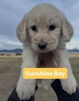 processed/a4f28661-a839-42b3-82ef-ce24cdd0f4b9/facility/bc245de1-b3ed-4fcd-9fbe-0b9572f13d98