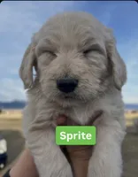 processed/a4f28661-a839-42b3-82ef-ce24cdd0f4b9/facility/c414e962-e475-4621-83dc-f1c979c7fac0