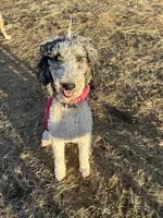 processed/a4f28661-a839-42b3-82ef-ce24cdd0f4b9/facility/c4294811-629b-4adf-a30b-7d971617b427