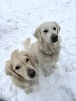 processed/a4f28661-a839-42b3-82ef-ce24cdd0f4b9/facility/f8ba54bd-3089-4455-b2b9-d06cf2762921