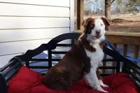 processed/a4f2e308-564c-4bdd-8834-934bc7b0bdf6/listing/03c3da6d-8f94-40a4-a243-2f7d1de34dec/1789982b-d1bc-4916-b6cc-731d1a7cb8d2