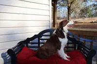 processed/a4f2e308-564c-4bdd-8834-934bc7b0bdf6/listing/03c3da6d-8f94-40a4-a243-2f7d1de34dec/585ce369-d7a4-4373-af01-dce16d68a98a