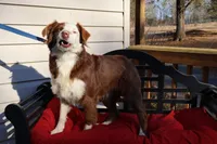 processed/a4f2e308-564c-4bdd-8834-934bc7b0bdf6/listing/03c3da6d-8f94-40a4-a243-2f7d1de34dec/5c6b4fc9-27f9-46af-aa18-3204544ccc8f