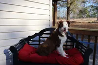 processed/a4f2e308-564c-4bdd-8834-934bc7b0bdf6/listing/03c3da6d-8f94-40a4-a243-2f7d1de34dec/689d723e-ac29-44da-af03-e19890c65a07