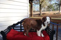 processed/a4f2e308-564c-4bdd-8834-934bc7b0bdf6/listing/03c3da6d-8f94-40a4-a243-2f7d1de34dec/69eefadc-9171-4676-8342-ba043b22f78e