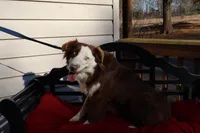 processed/a4f2e308-564c-4bdd-8834-934bc7b0bdf6/listing/03c3da6d-8f94-40a4-a243-2f7d1de34dec/707957fa-bbdd-49a8-9f3d-9330bab171f2