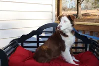 processed/a4f2e308-564c-4bdd-8834-934bc7b0bdf6/listing/03c3da6d-8f94-40a4-a243-2f7d1de34dec/bfefb0b3-560c-4517-9ac5-0bbca4de61bf