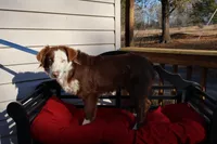 processed/a4f2e308-564c-4bdd-8834-934bc7b0bdf6/listing/03c3da6d-8f94-40a4-a243-2f7d1de34dec/dd8d6ffd-1d6e-47f6-addf-3005b1d3ad53