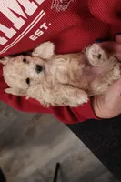 processed/a4f2e308-564c-4bdd-8834-934bc7b0bdf6/listing/52ede7b9-236d-47ca-af28-6c63ce56e9d7/3b5e239f-2f0a-415d-8a98-65f45d86b783