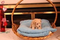 processed/a4f2e308-564c-4bdd-8834-934bc7b0bdf6/listing/52ede7b9-236d-47ca-af28-6c63ce56e9d7/3bc32114-b68d-439b-955a-a45ff9816677