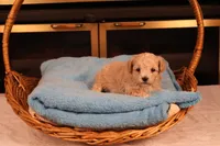 processed/a4f2e308-564c-4bdd-8834-934bc7b0bdf6/listing/52ede7b9-236d-47ca-af28-6c63ce56e9d7/441eb44f-5c68-4d6c-b0eb-261fecf5eaf0