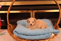 processed/a4f2e308-564c-4bdd-8834-934bc7b0bdf6/listing/52ede7b9-236d-47ca-af28-6c63ce56e9d7/813bf68e-0261-4591-a061-464079b13fc0