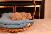 processed/a4f2e308-564c-4bdd-8834-934bc7b0bdf6/listing/52ede7b9-236d-47ca-af28-6c63ce56e9d7/9ee7db17-64a0-4193-a0d1-7f97699ed809