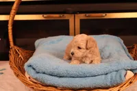 processed/a4f2e308-564c-4bdd-8834-934bc7b0bdf6/listing/52ede7b9-236d-47ca-af28-6c63ce56e9d7/a6527ddc-fc8e-4ab6-aaea-a7c474503f79