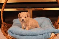 processed/a4f2e308-564c-4bdd-8834-934bc7b0bdf6/listing/52ede7b9-236d-47ca-af28-6c63ce56e9d7/ec70e026-2ca9-41bf-9132-88dbc8bcddc3