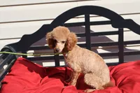 processed/a4f2e308-564c-4bdd-8834-934bc7b0bdf6/listing/5bd78db6-5ccb-4f84-bb81-471c0a626946/26906d33-4dd5-41b2-b5eb-e64b2aeb11b0