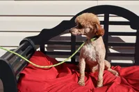 processed/a4f2e308-564c-4bdd-8834-934bc7b0bdf6/listing/5bd78db6-5ccb-4f84-bb81-471c0a626946/2dd870c5-8a59-4526-81dd-f5f89cc3772a