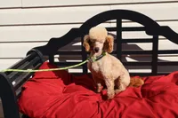 processed/a4f2e308-564c-4bdd-8834-934bc7b0bdf6/listing/5bd78db6-5ccb-4f84-bb81-471c0a626946/31f049cb-0c78-426a-a0c6-cbe1ef15efa9