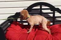 processed/a4f2e308-564c-4bdd-8834-934bc7b0bdf6/listing/5bd78db6-5ccb-4f84-bb81-471c0a626946/46708c94-1878-4dea-91ac-b5bc30e52a06