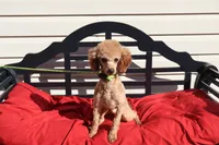 processed/a4f2e308-564c-4bdd-8834-934bc7b0bdf6/listing/5bd78db6-5ccb-4f84-bb81-471c0a626946/5783d5d2-eadc-4f48-9c3b-f2aa7b906d34